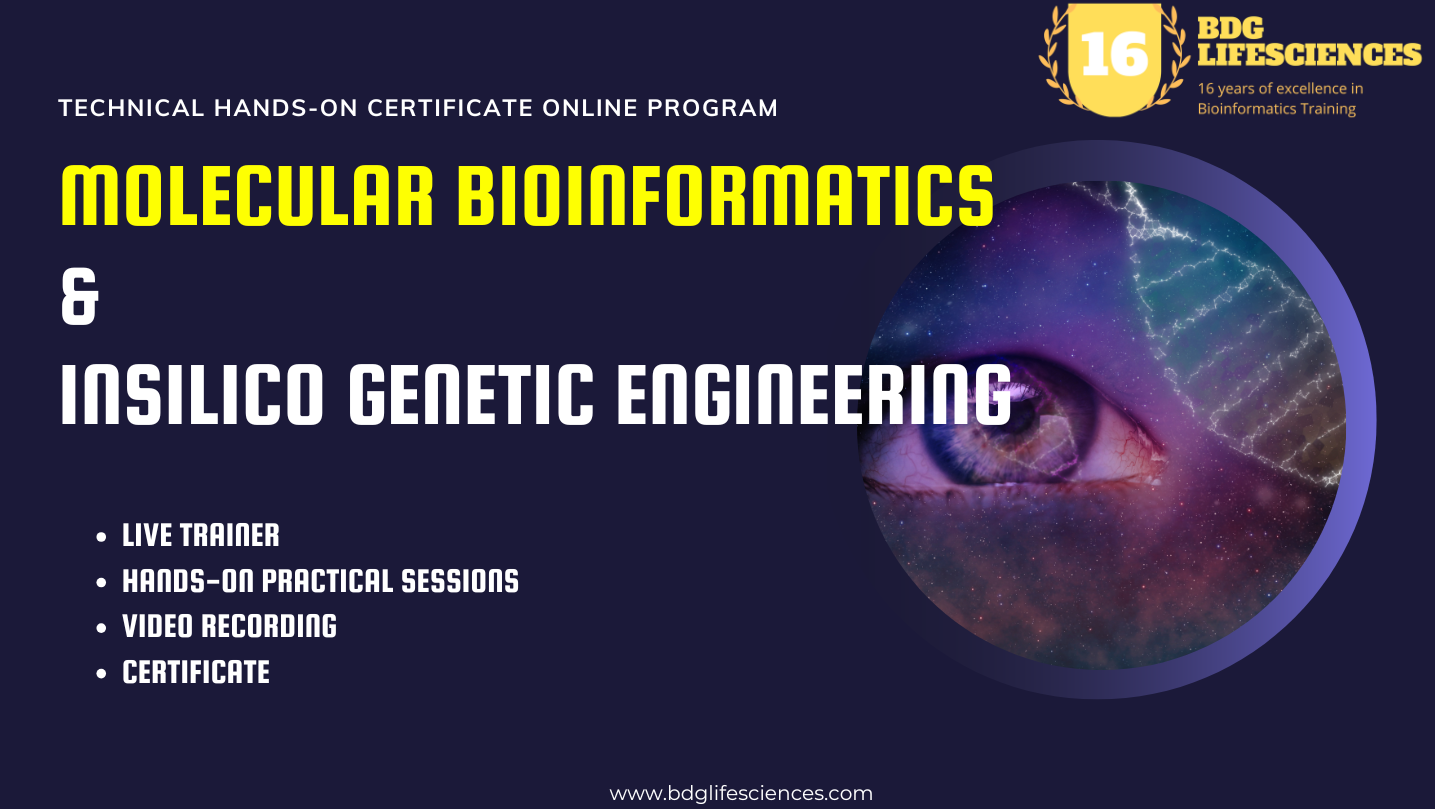 Molecular Bioinformatics & In Silico Genetic Engineering for High School Students