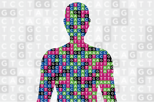 Next-Generation Sequencing (NGS) for High School Students: From DNA to Data